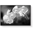 thumbnail image 2 of wall26 Floating Framed Canvas Wall Art for Living Room, Bedroom Black Flower Canvas Prints for Home Decoration Ready to Hang, 2 of 4