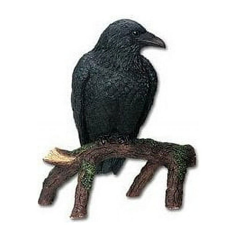 7586 Raven 7586 Raven