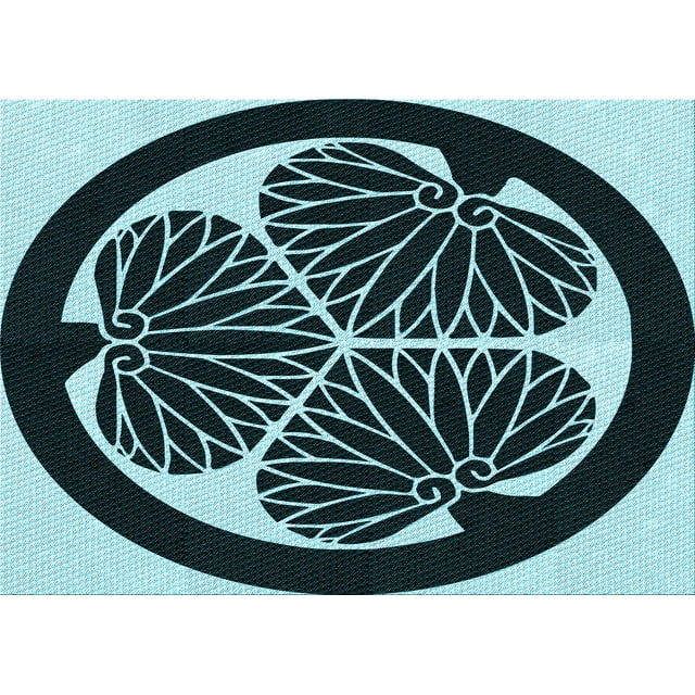 Ahgly Company Tapis d'Intérieur Lavables en Machine Rectangle Transitionnel Vert Sarcelle Profond, 8' x 12'