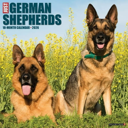 Willow Creek Press, Just German Shepherds 2026 Wall Calendar, 12'' X 12'', 18-Month Calendar with Stapled Binding