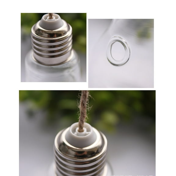 MLINS Light Bulb Shaped Glass Planters Wall Hanging Planters 2 Holes Round Glass Plant Pots Hanging Air Plant Pots Flower Vase with Ropes