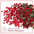 Fresh Flowers For Mothers Day Delivery Next Day Delivery 24 Roses 2024-new-monster-catnap-plush-adorable-smiling-critters-plush-toy