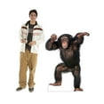 thumbnail image 4 of Advanced Graphics 1486 Young Chimpanzee - 42" x 33" Cardboard Standup, 4 of 5