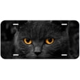 thumbnail image 1 of Cat Eyes ETAG08 Novelty Car Auto License Plate, 1 of 2