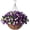 Purple Edge, variant on Artificial Hanging Flowers 12 inch Basket, Faux Silk Petunias Flower Arrangement,Coconut Lining Planter with Morning Glories Plants Patio Garden Porch Deck Spring Decor(Lotus and Fuchsia)