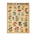 thumbnail image 2 of Types Of Mushrooms Poster, Vintage Mushroom Poster, French Mushroom Print, Botanical Print, Mushroom Art Home Decor, Types Of Mushroom,Jigsaw Puzzle 1000 Puzzle Pieces,Puzzle Enthusiasts, 2 of 7