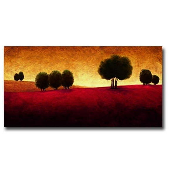 Artistic Home Gallery 1224S482TG Transcendence by Gregory Williams Premium Gallery-Wrapped Canvas Giclee Art - Ready-to-Hang, 12 x 24 x 1.5 in.