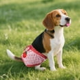 thumbnail image 4 of Pantalones Cortos Higiénicos Para Perras, Cachorros Y Perros Hembras, Ropa Interior Fina, 4 of 5