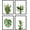 Beige, variant on HAUS AND HUES Framed Vintage Botanical Prints - Set of 4 Framed Farmhouse Bedroom Wall Decor, Rustic Art for Bathroom, Farmhouse Decor Pictures for Living Room, Boho Decor (8x10, Framed Black)