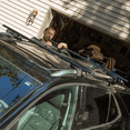 thumbnail image 5 of CURT 18118 53 Inch Aluminum Universal Roof Rack Crossbars w/ 150 Pound Capacity, 5 of 5