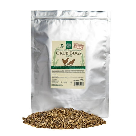 Small Pet Select Grub Bugs, Black Soldier Fly Larvae, Non-GMO, Locally Sourced Pnw, 5 lb