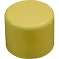thumbnail image 1 of Genova Products Inc 50155 0.5 In. CPVC Cap Fitting Pack Of 10, 1 of 1