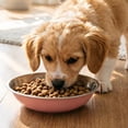 thumbnail image 2 of bestolf Stainless Steel Pet Bowl Silicone Bottom Small Medium Large Dogs Cats Feeding Bowl Anti-tip Pet Water Treat Food Feeder Bowl (Black ), 2 of 8