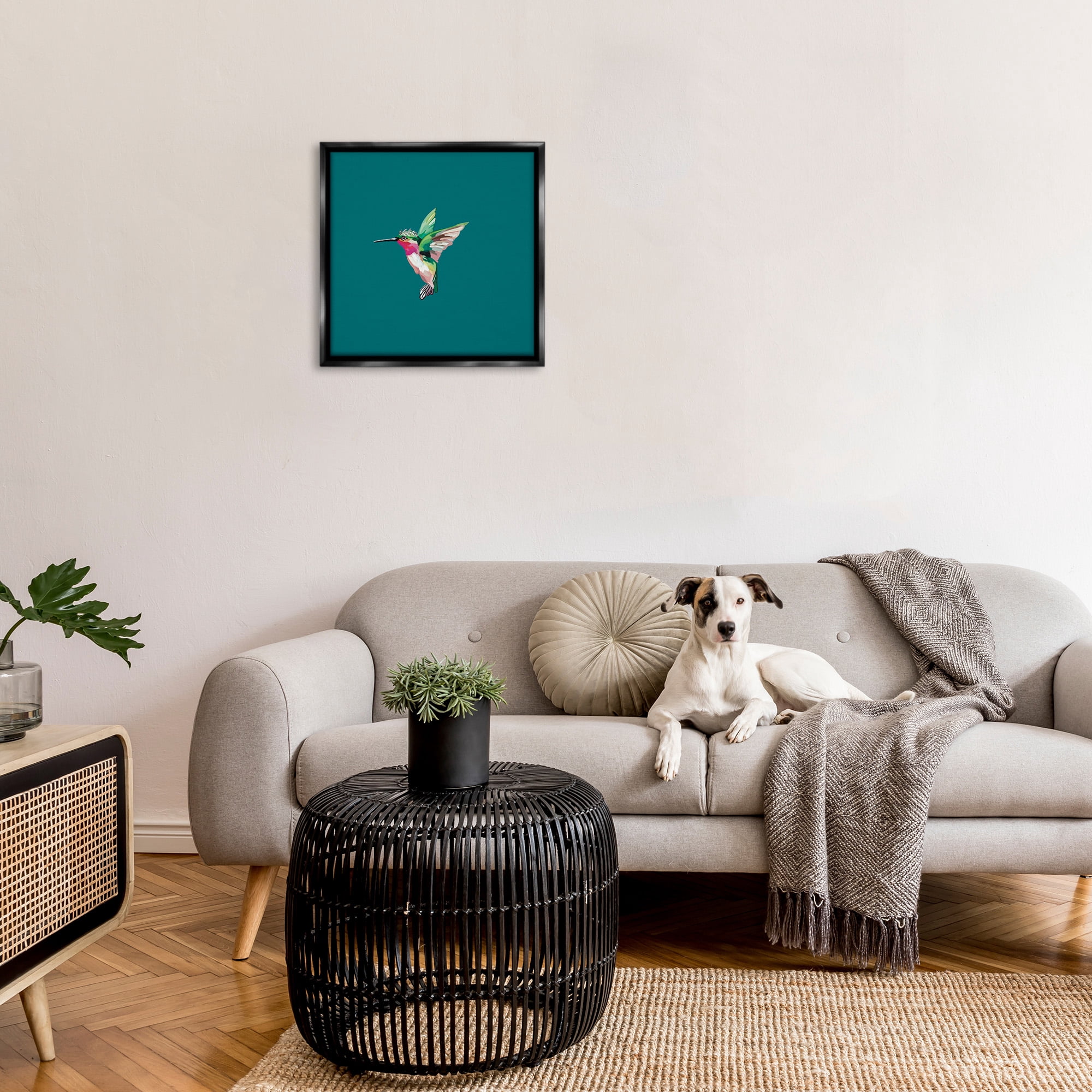 Stupell Industries Hummingbird with Crown Animals & Insects Painting Black Floater Framed Canvas Art Print Wall Art, 25 x 25