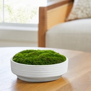 Better Homes & Gardens 8 Faux Moss in Ceramic Bowl