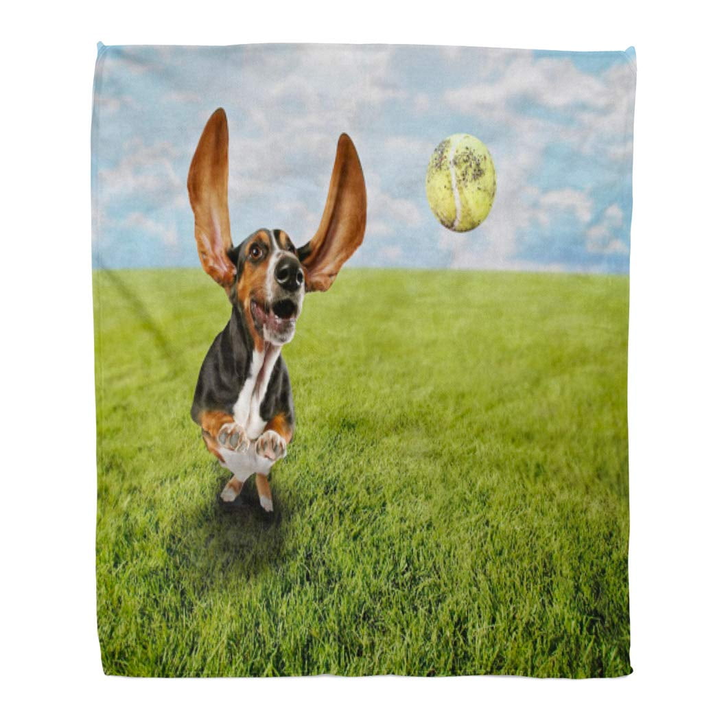 Basset hound throw blanket sale