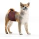 thumbnail image 4 of Washable Male Dog Diapers(3 Pack) Reusable Belly Band For Male Dogs, 4 of 5