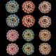 thumbnail image 3 of Broches de perlas de diamantes de imitación de 12 piezas, alfileres de broche de boda de cristal Multi-culor Sunnimix Broche de boda, 3 of 8