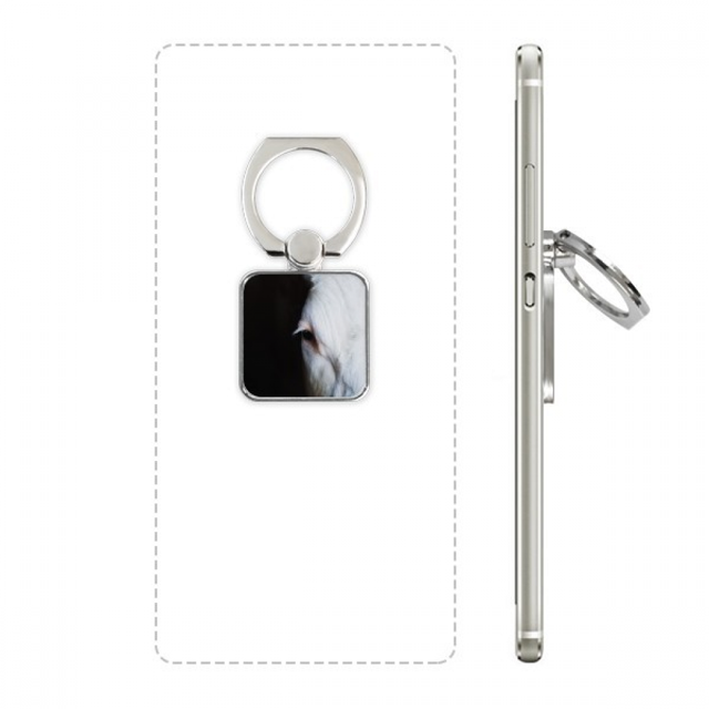 M support de support de support de support de Cellules Carrées pour la Photographie Animale support Universel