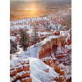 thumbnail image 2 of Collins, Ann 12x14 Gold Ornate Wood Framed with Double Matting Museum Art Print Titled - USA, Utah, Bryce Canyon National Park, Sunrise from Sunrise Point after fresh snowfall, 2 of 4