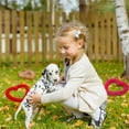 thumbnail image 5 of Yirtree 2 Pieces Valentine's Day Heart Shaped Dog Rope Pet Chew Toys Heart Chew Rope for Valentines Dog Puppy Pets Chewing Supplies, 5 of 8