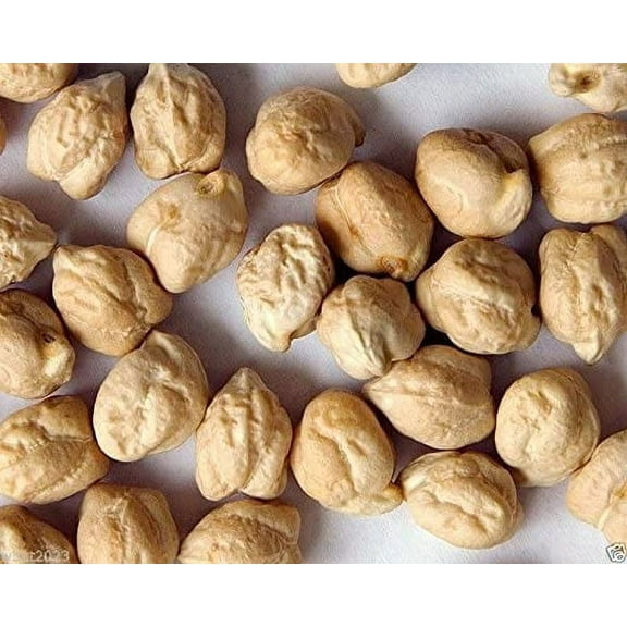 Garbanzo Bean Seeds for Planting - Grow Chickpeas, Make Hummus (20 Seeds)