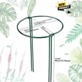 thumbnail image 3 of 2 Pack Plant Support Plant Stakes,Metal Peony Cages and Supports, Outdoor Garden Stakes Plant Cage, Large Plant Support Rings for Tomato,Rose,Flowers Vine,Indoor Tall Plants (10" W x 15.8" H), 3 of 6