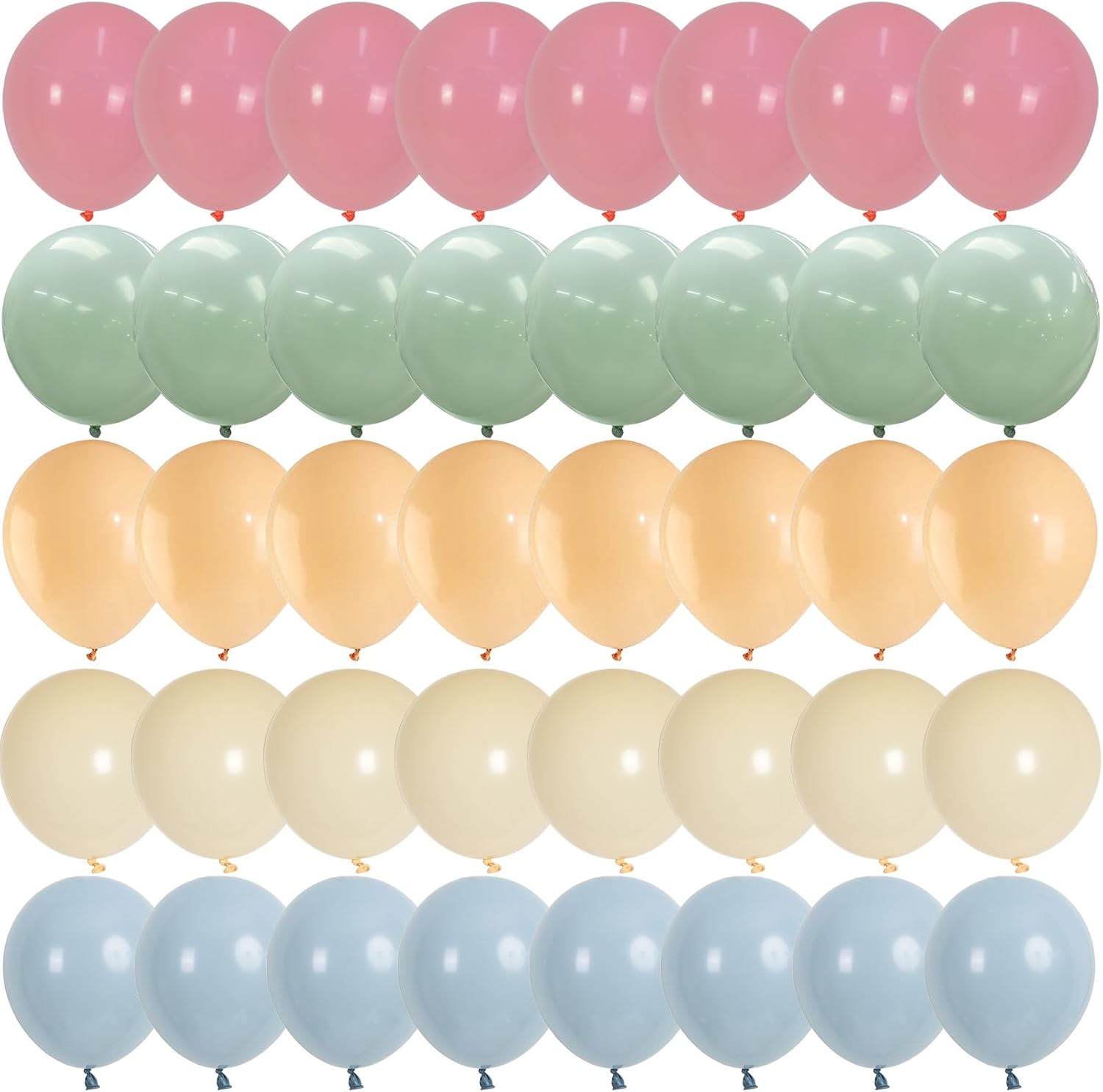 Pink Blue Green Balloons, Retro Blush Pink Sage Green Dusty Blue Ivory White Nude Latex Balloons  Pastel Rainbow Goose Party Balloon for Flower Fairy Baby in Bloom Shower Birthday Party Decoratio