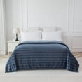 thumbnail image 1 of Mainstays Cationic Plush Blanket, Size: Twin - Double/Queen, 1 of 7