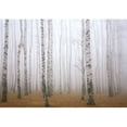 thumbnail image 2 of wall26 - Beautiful Dreamlike Forest in Autumn Time - Wall Mural, Removable Sticker, Home Decor (100"x144", Artwork - DH47), 2 of 6