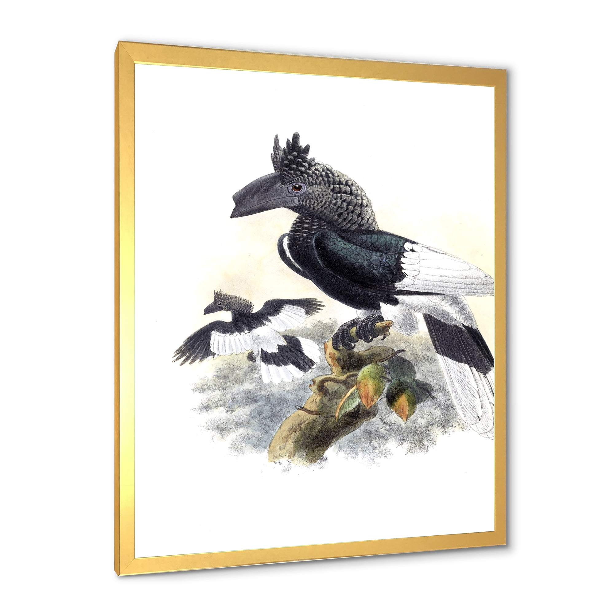 Designart 'Ancient Australian Birds XVI' Traditional Framed Art Print
