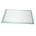thumbnail image 4 of Incontinence Chux Pads, Disposable Underpads 30" x 36" Waterproof Absorbent Protection Bed Pads, Perfect for Kids, Adults, Pets, Puppy Training, Pee Pads and Furniture (Pack of 10), 4 of 5