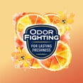 thumbnail image 5 of Glade Automatic Spray Refills, Air Freshener, Infused with Essential Oils, Coastal Sunshine Citrus, 6.2 oz, 2 Count, 5 of 13