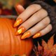 thumbnail image 4 of Placas para estampar uñas con diseño de otoño y Acción de Gracias - Plantilla de acero inoxidable con 126 diseños - 5 placas para decoración de uñas con calabaza y arce, 4 of 7