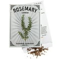 Rosemary Seeds for Planting OIF8 Common Variety (400mg Packet