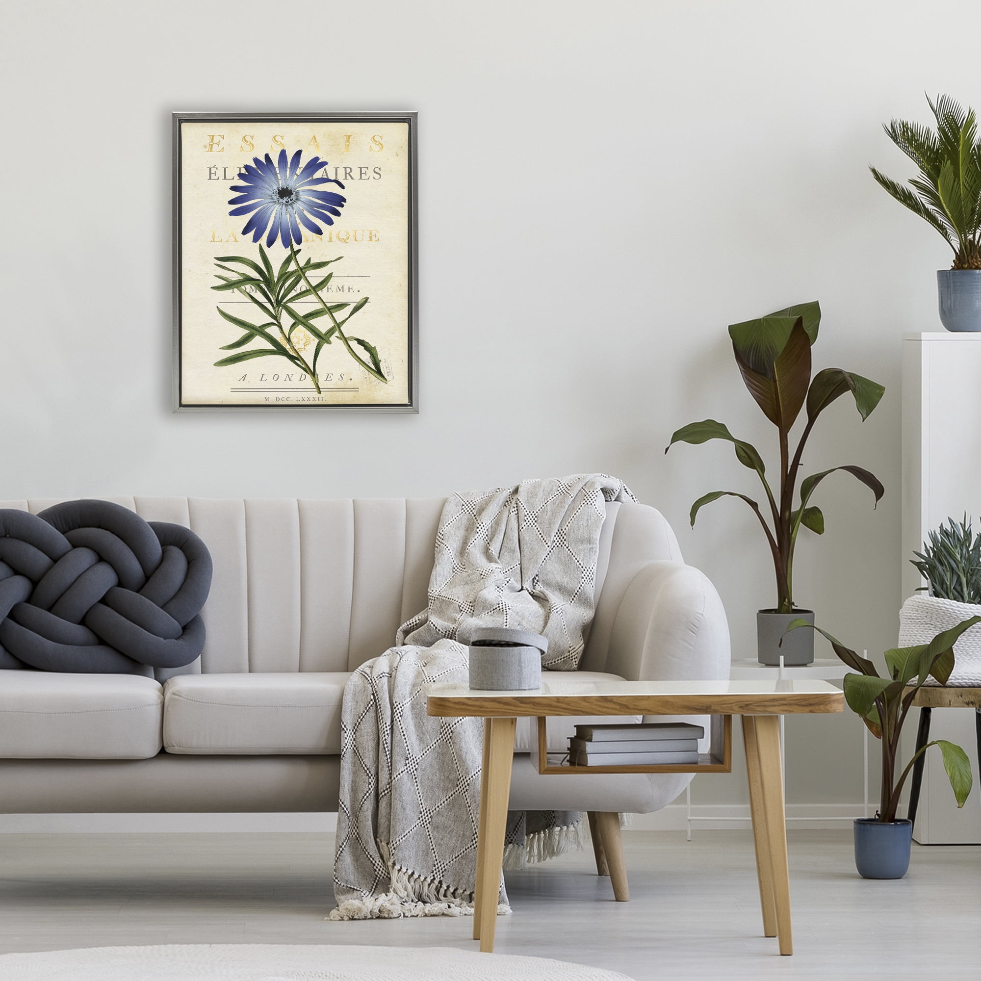 Stupell Industries Natural Botany Daisy Gray Framed Floater Canvas Wall Art, design by Susan Arnot