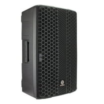 Blastking NOVO-P12A 12 2-Way Active Loudspeaker 1200 Watts Class-D, TWS, DSP Presets
