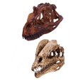 thumbnail image 1 of Juego de 2 coleccionables de Cráneo de dinosaurio Macarena resina realista Dilophosaurus Ceratosaurus, 1 of 8