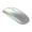 Silver, variant on Compact Wireless Rechargeable LED Lighted Mouse | Portable Adjustable DPI | Custom Silent Click & RGB | Programmable | The mouse is a safe and durable battery and there Gold