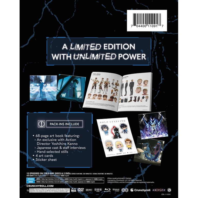 Limited Edition Solo Leveling: Season 1 (Blu-ray + DVD) - Walmart.com