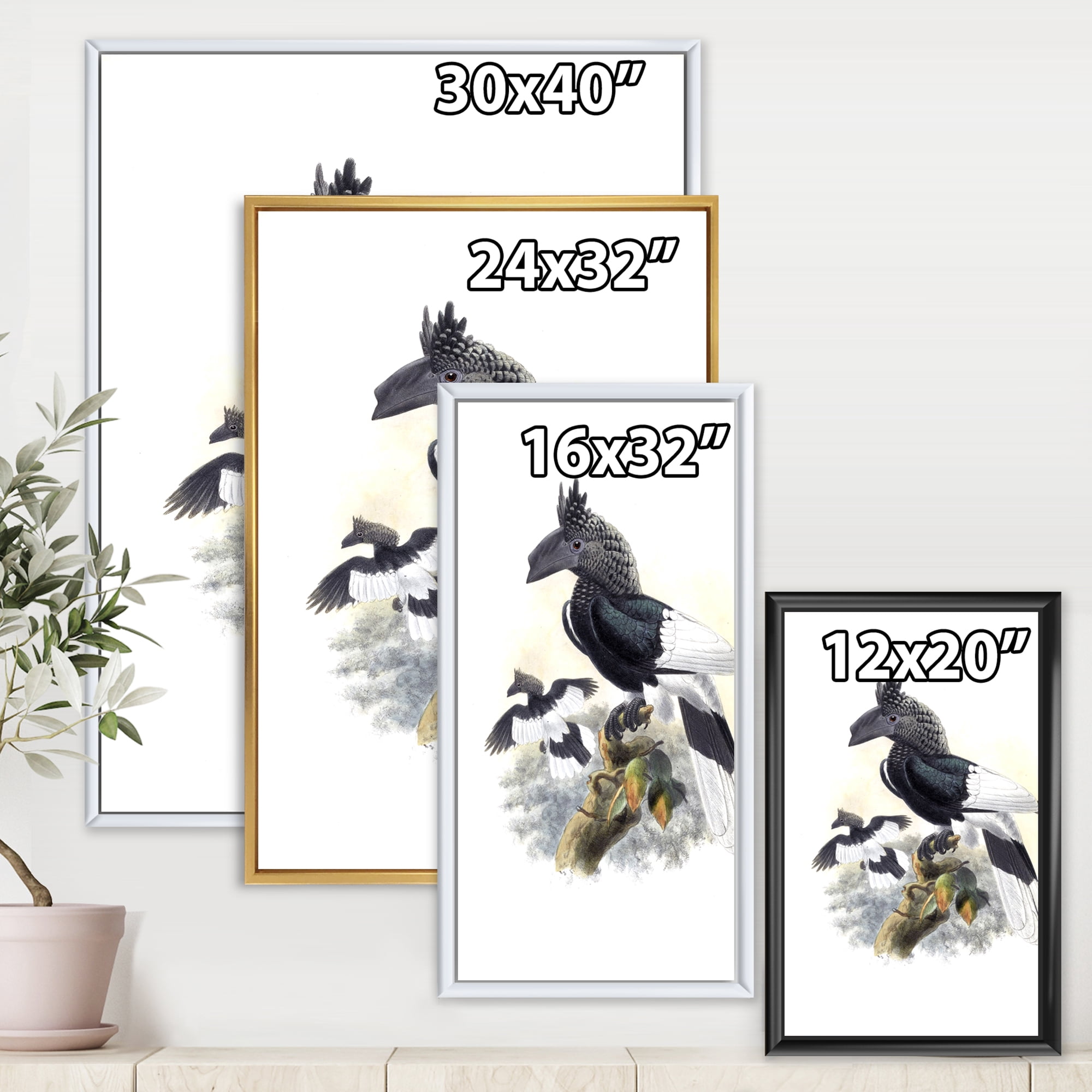 Ancient Australian Birds XVI 24 in x 32 in Framed Painting Canvas Art Print, by Designart