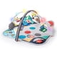 thumbnail image 1 of Baby Einstein Sensory Play Space Newborn-to-Toddler Discovery Gym and Play Mat, Ages Newborn +, 1 of 5