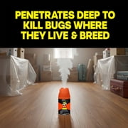 (2 pack) Raid Max Concentrated Deep Reach Fogger, Roach & Flea Insect Killer, 2.1 oz, 3 Cans