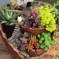thumbnail image 7 of Microlandschaft Flower Pot Hanging Garden Potted Fairy-tale World Succulent Plant Plant House Resin Decoration, 7 of 7