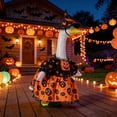 thumbnail image 5 of Halloween Goose Outfit Witch Lawn Porch Goose Clothes Fall Halloween Goose Costume for 23" Geese Outdoor Patio Yard Lawn Decoration, 5 of 8