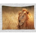 thumbnail image 1 of Wildlife Tapestry, Big Male Lion Leo Laying Resting in Dense Grass Field Dangerous Carnivore Predator, Wall Hanging for Bedroom Living Room Dorm Decor, 80W X 60L Inches, Multicolor, by Ambesonne, 1 of 2