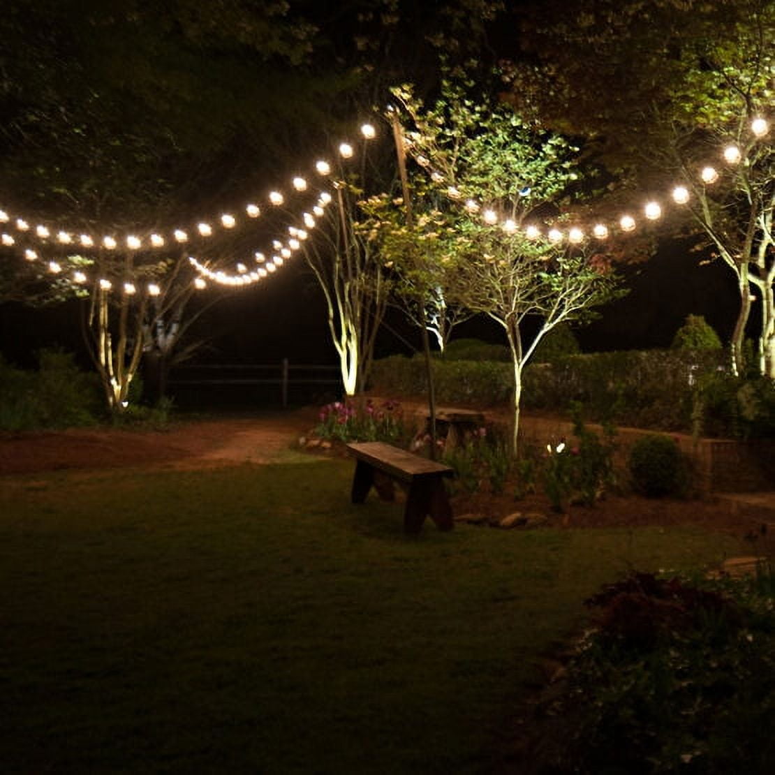Wintergreen Lighting FlexFilament Edison Bulb Shatterproof G50 Patio String Lights, 25 ft, 25 Lights