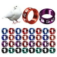 thumbnail image 4 of BESTSKY Bird Leg Bands 50 Pcs Bird Leg Bands Chicken Leg Bands Pigeons Rings Chicken Bands Pigeon Supplies 0.31"X0.31"X0.12", 4 of 4