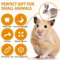 thumbnail image 4 of DIY.STORE 12 PCS Hamster Toys, Guinea Pig Toys Small Animal Chewing Toy and Rat Cage Accessories, Chinchillas, Gerbils, Rats, Rabbit Rodents Teeth Care, Apple Wood Timothy Hay Mouse Toy, 4 of 5