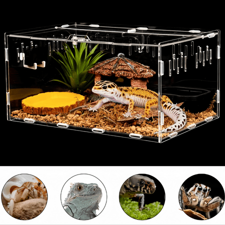 AIWFL Acrylic Reptile Terrarium, 15'' × 10'' Climbing Pet Display Case, Reptile Breeding Box for Insect, Snake, Lizard, Spider, Frog , Clear